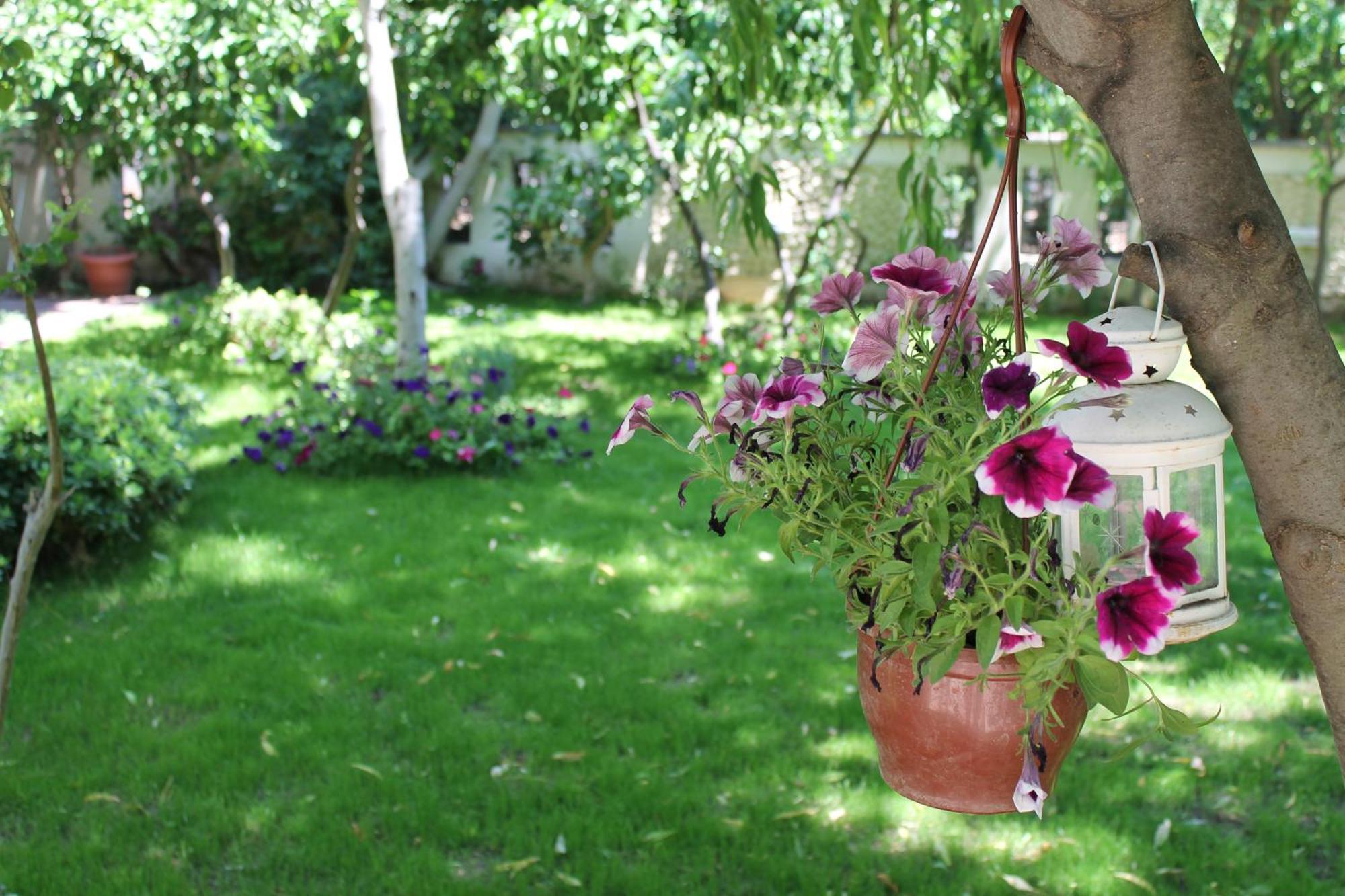 Bella Garden Hotel Bodrum Luaran gambar